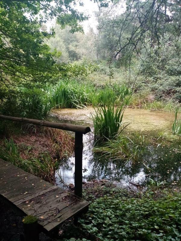 3 Bedroom Property for Sale in Hogsback Eastern Cape